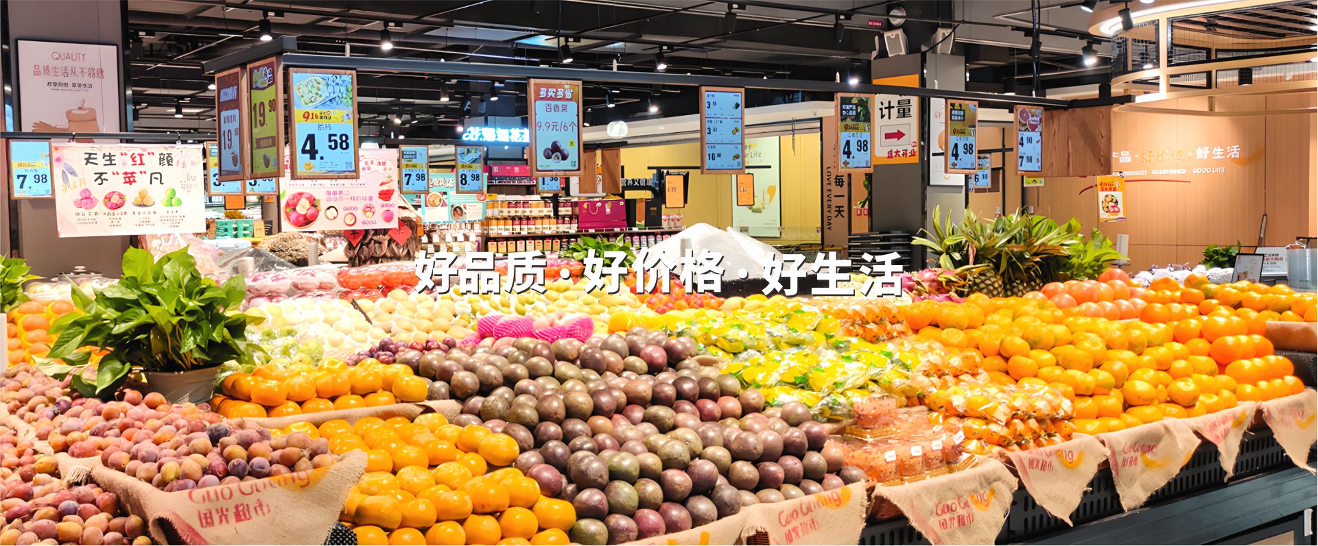 九游会ag首页