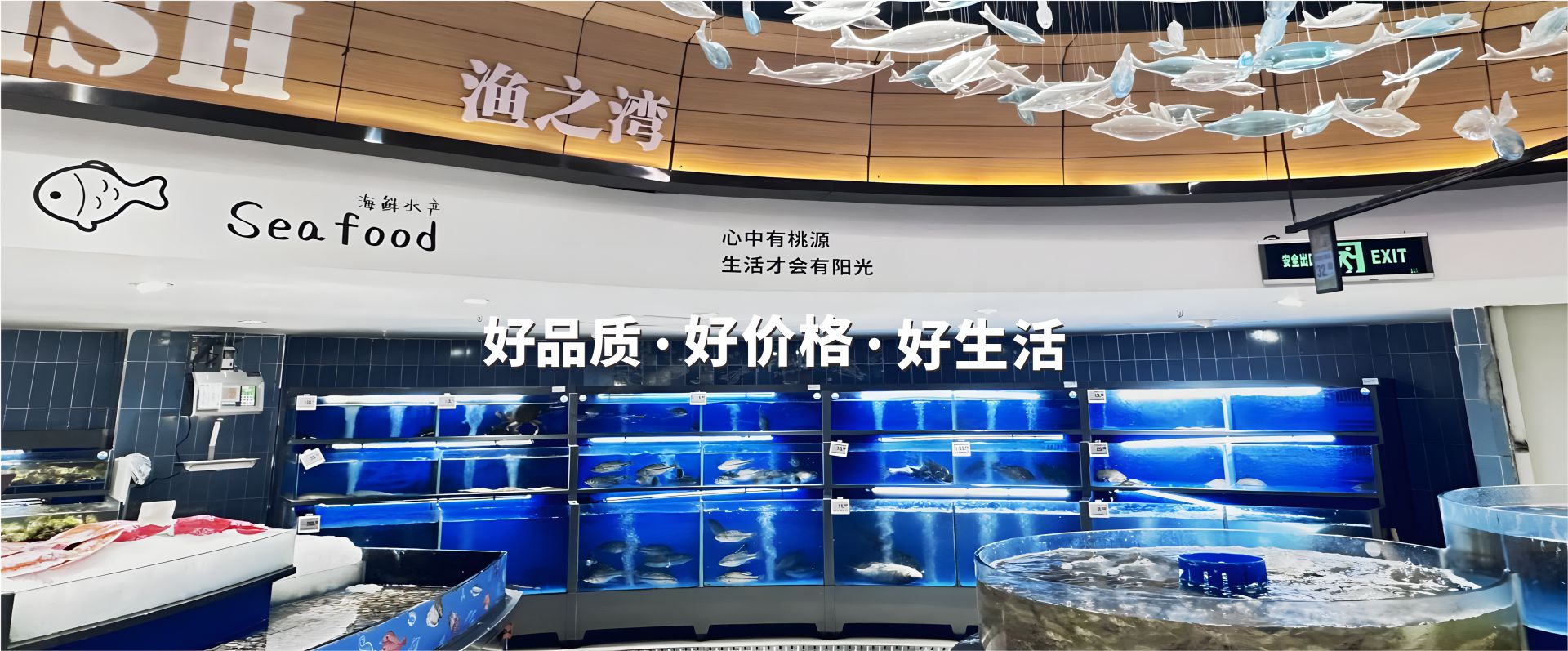 九游会ag首页